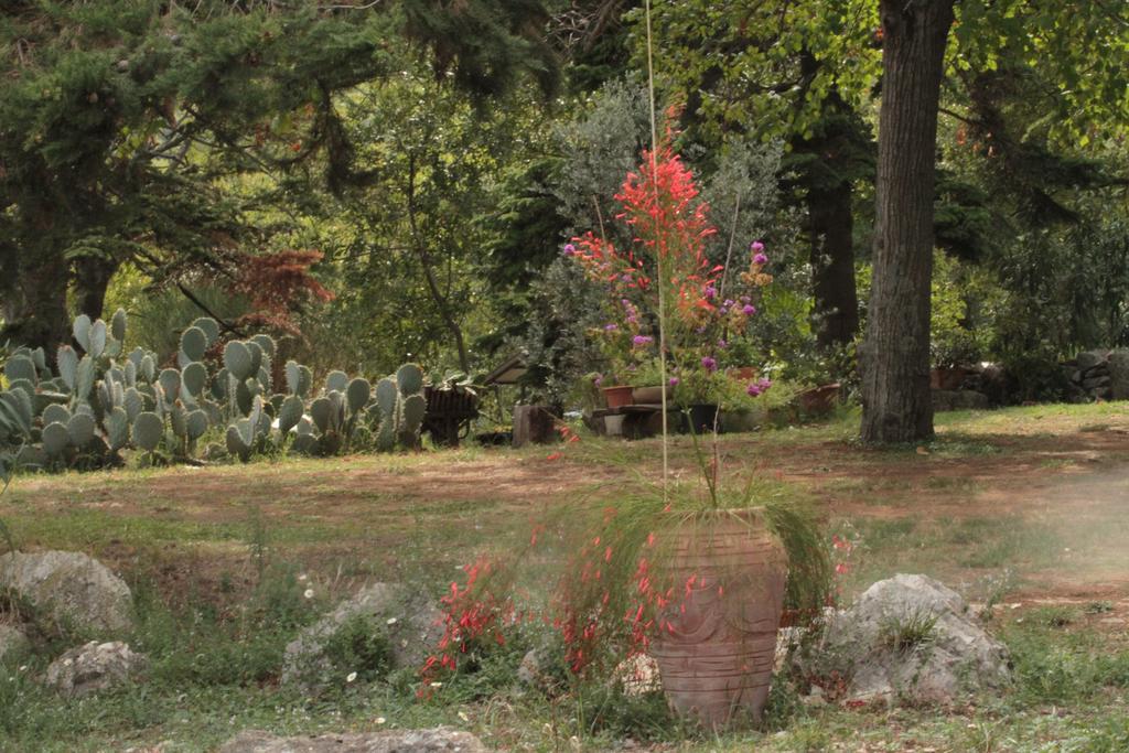 Holiday Home Botanica Drenje  Ruang foto