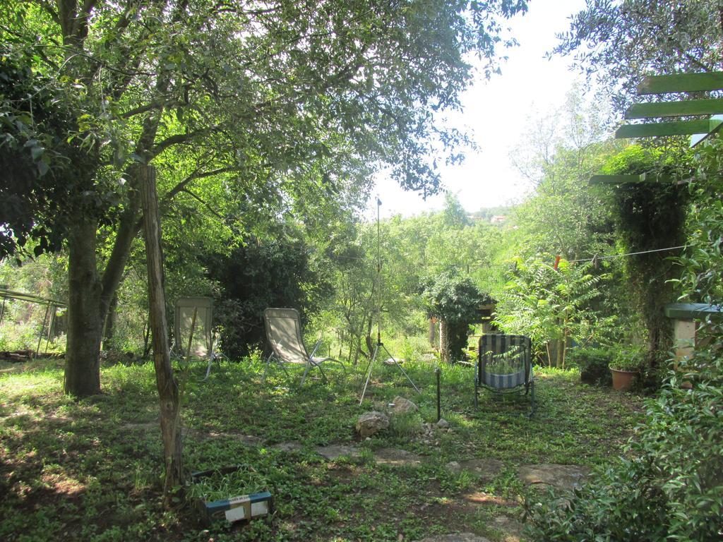 Holiday Home Botanica Drenje  Ruang foto
